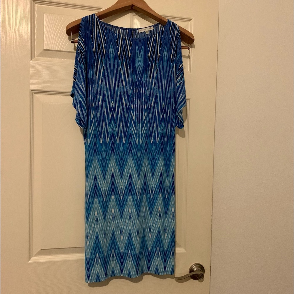 Blue/White Dress